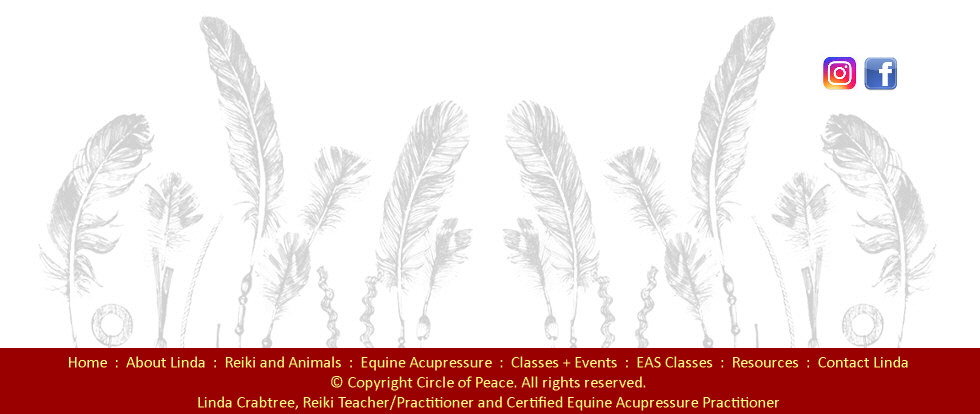Circle of Peace | Equine Acupressure | Reiki for All Animals